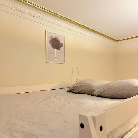 Hausmanien Elegant Dans Le 6eme Paris